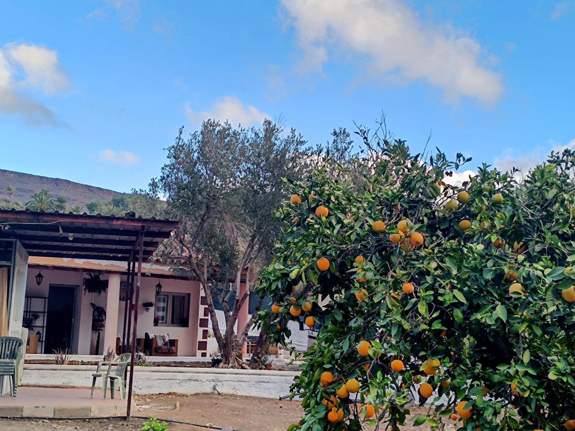 La Casa De La Pradera Villa Santa Lucia De Tirajana Exterior photo